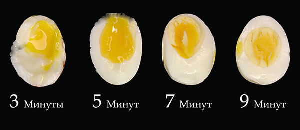 Как правильно варить куриные яйца